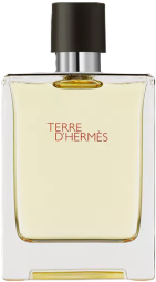 Hermes Terre d'Hermes 100ml (Туалетная вода)