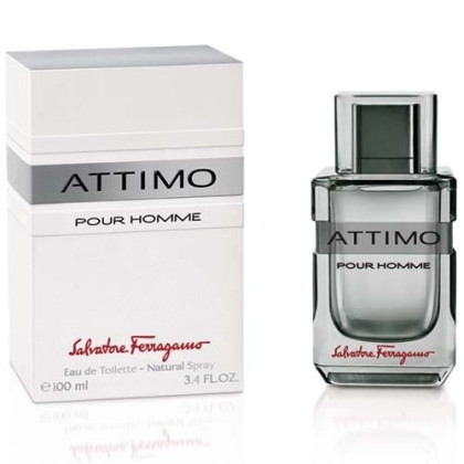 Salvatore Ferragamo Attimo Pour Homme 100ml (Туалетная вода)
