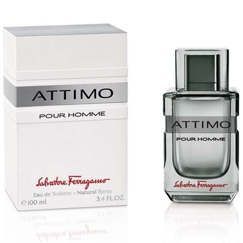 Salvatore Ferragamo Attimo Pour Homme 100ml (Туалетная вода)