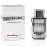 Salvatore Ferragamo Attimo Pour Homme 100ml (Туалетная вода)
