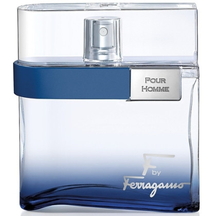 Salvatore Ferragamo F by Ferragamo Free Time Pour Homme 100ml (Туалетная вода)