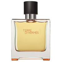 Hermes Terre D'Hermes 100ml TESTER (Оригинал) Туалетная вода