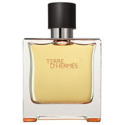 Hermes Terre D'Hermes 100ml TESTER (Оригинал) Туалетная вода