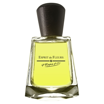 Frapin Esprit de Fleurs 100ml TESTER (Оригинал) Парфюмерная вода
