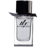 Burberry "Mr. Burberry" 100ml TESTER (Оригинал) Туалетная вода