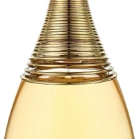Christian Dior J'adore 100ml (Парфюмерная вода)
