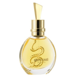 Roberto Cavalli Serpentine 100ml (Парфюмерная вода)