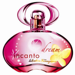 Salvatore Ferragamo Incanto Dream 100ml (Туалетная вода)