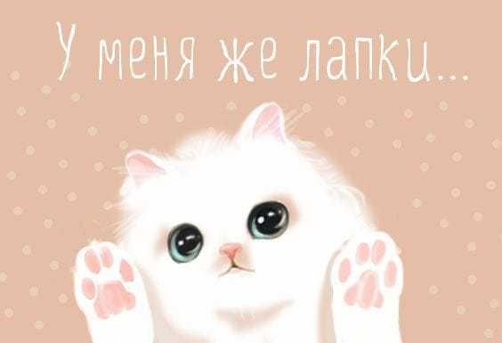 Милая картинка