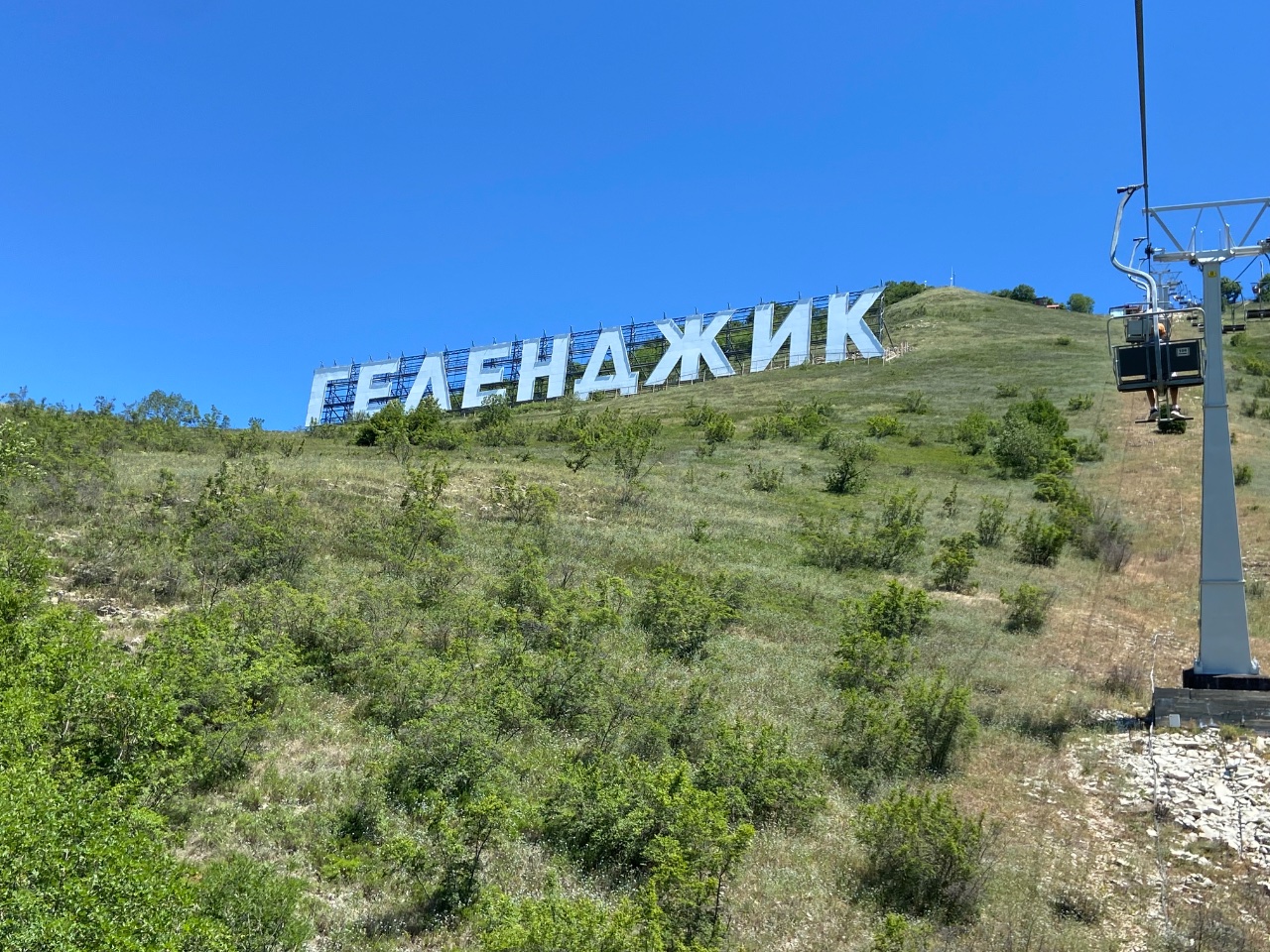 Фотография