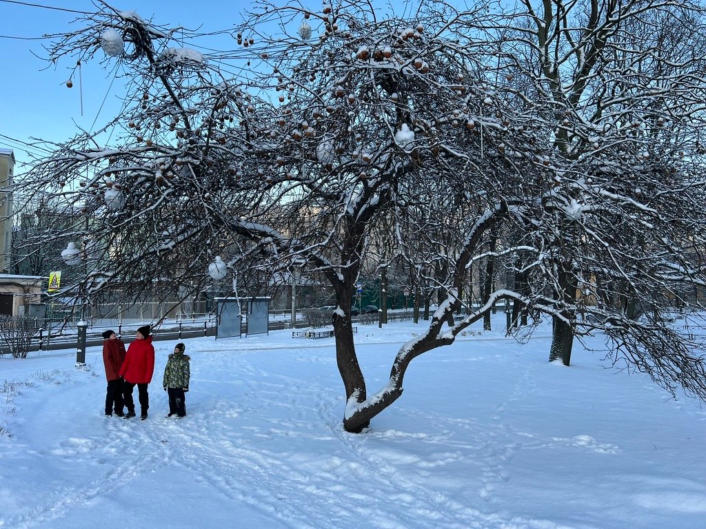 Фотография