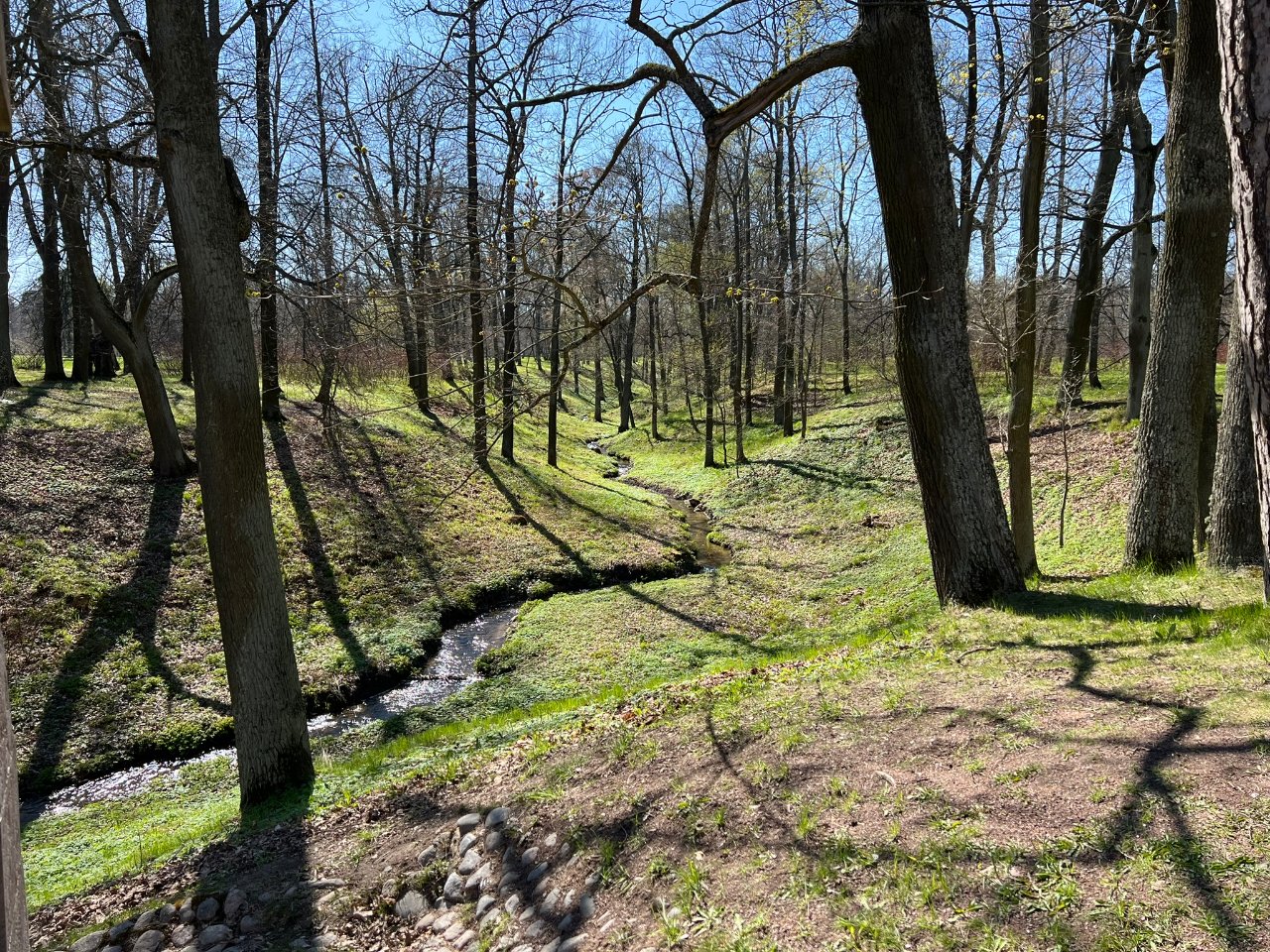 Фото локации Парк Александрия