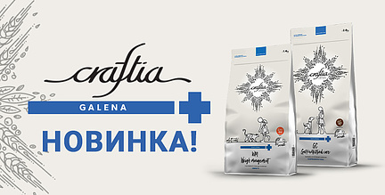  Встречайте новинки Craftia Galena