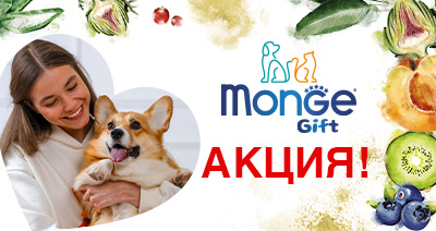 Акции Monge