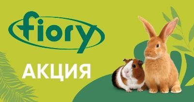 Акция Fiory