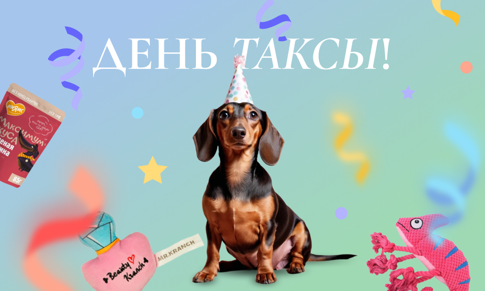 День таксы