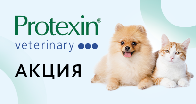 Акция Protexin