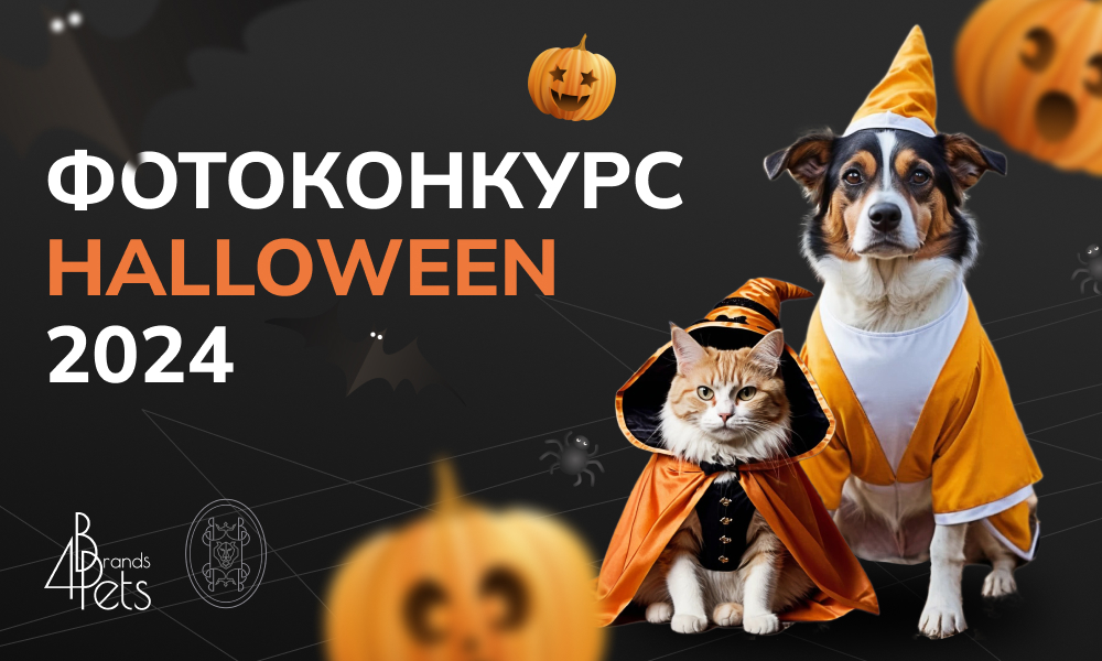 Фотоконкурс Halloween 2024