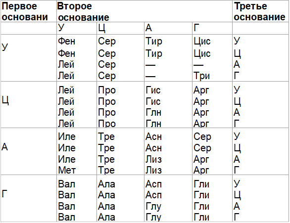 Таблица белков ирнк