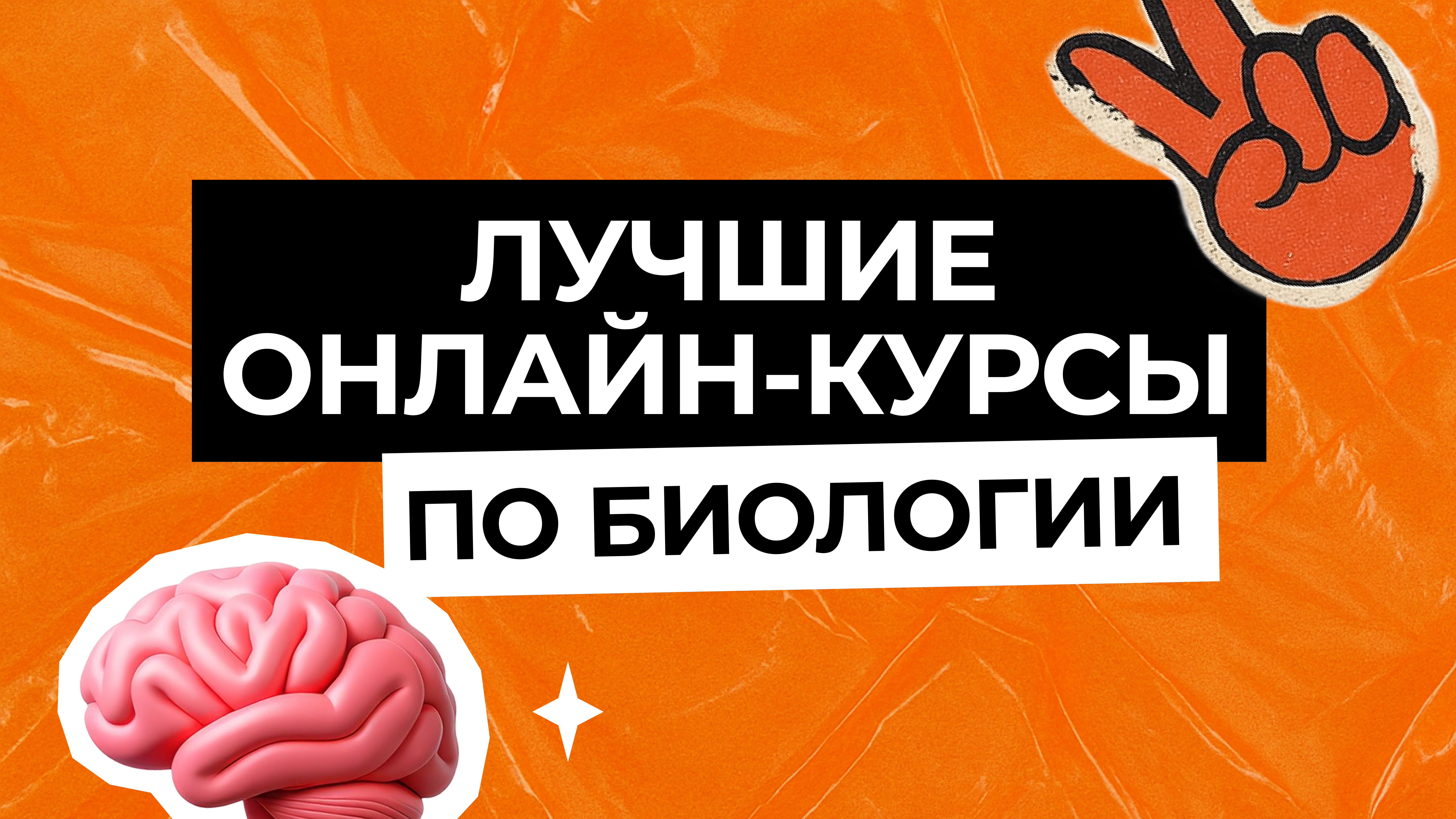 Лучшие онлайн-курсы по биологии ОГЭ