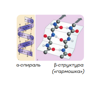 Биохимия клетки