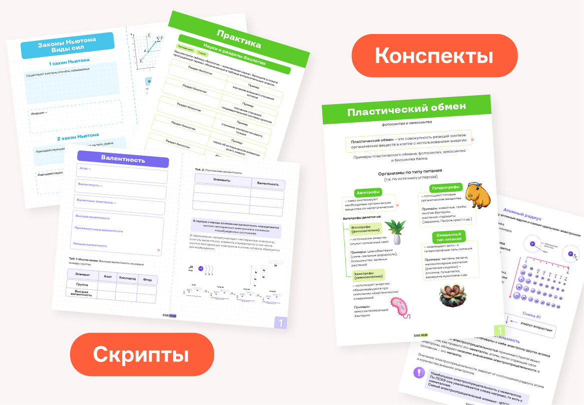 Все нужные материалы для подготовки к экзамену по профильной математике в 11 классе