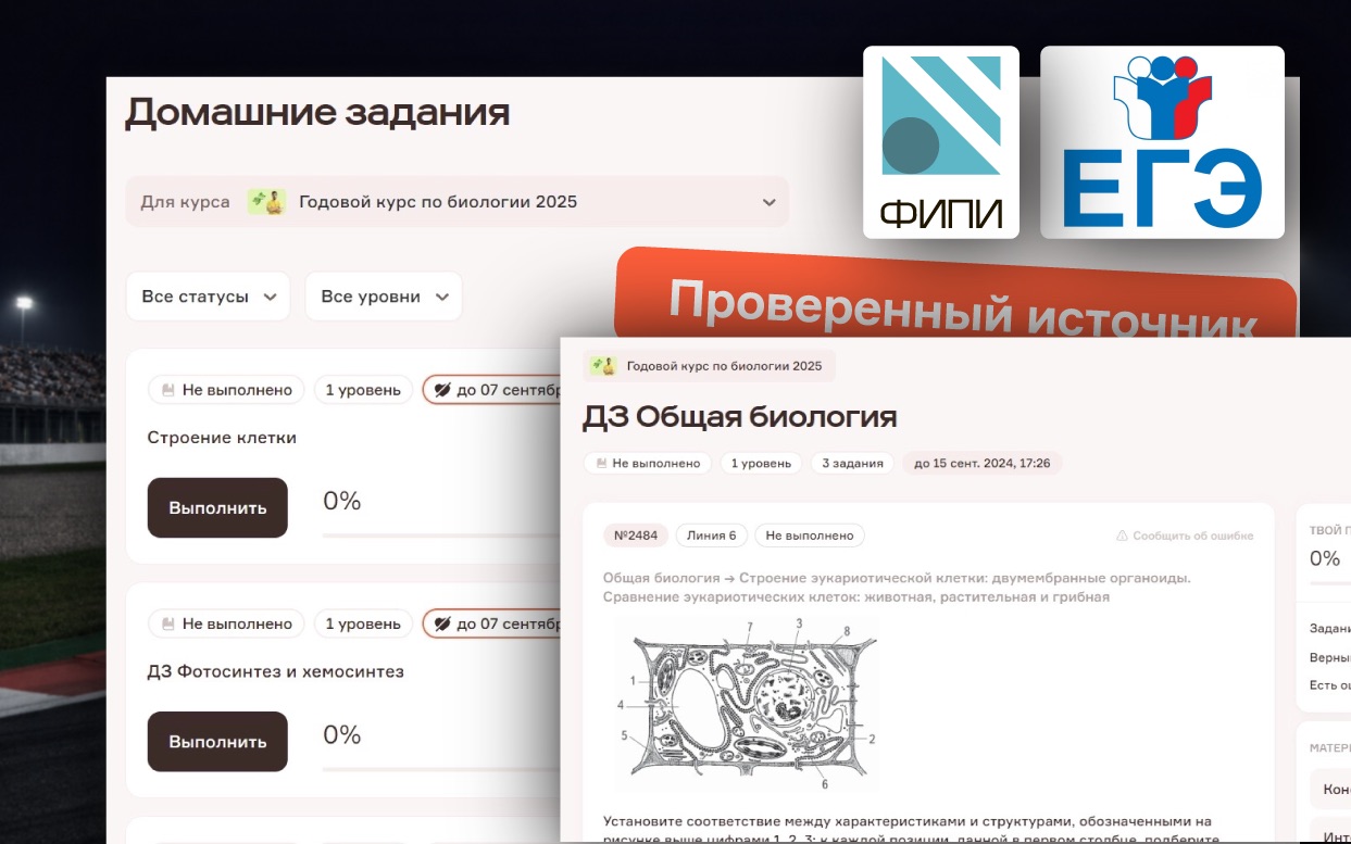 Большое количество практики