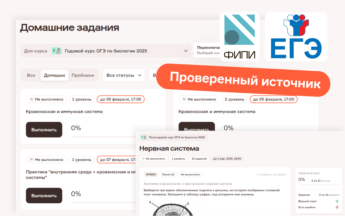 Большое количество практики