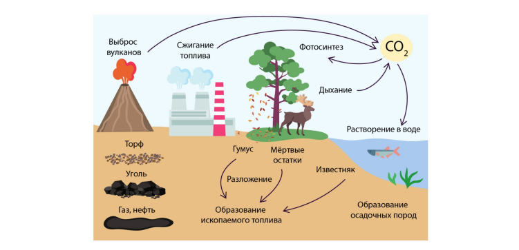 Иллюстрация к статье