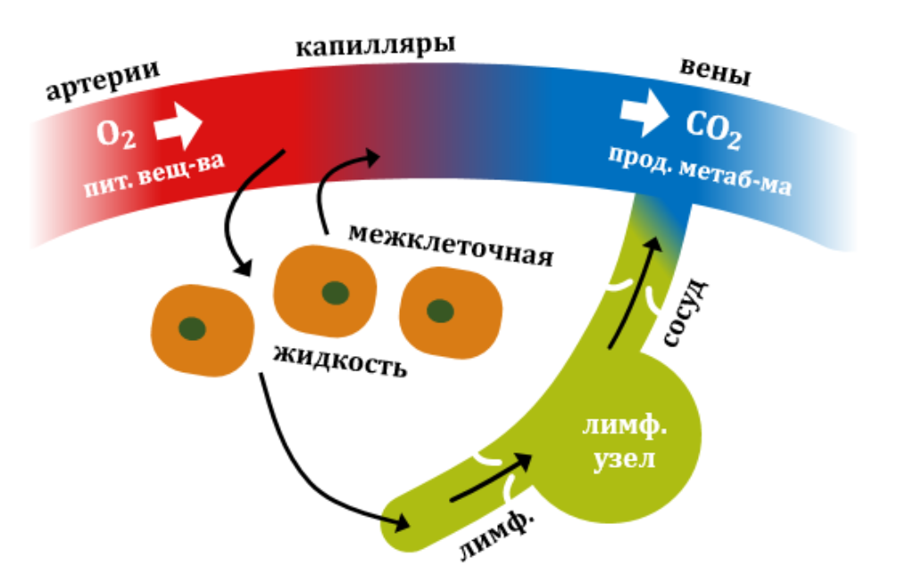 Иллюстрация к статье