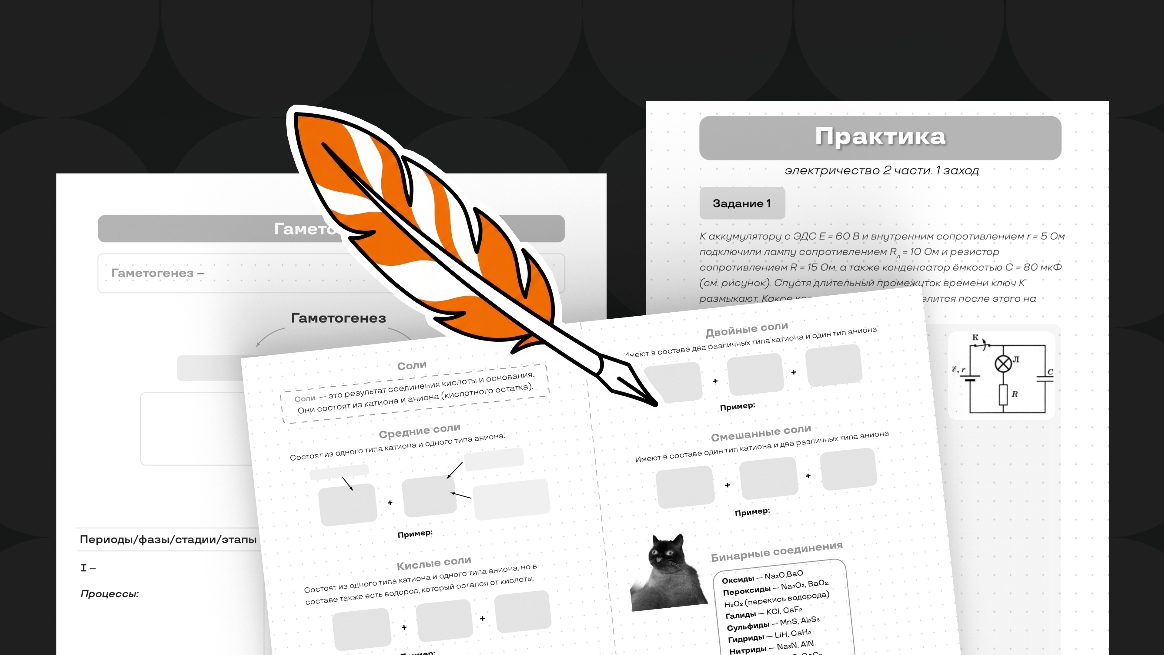 Интеллект-скрипты и конспекты