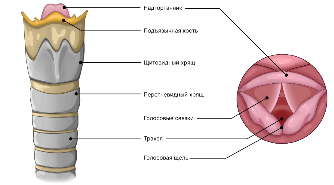 Иллюстрация к статье