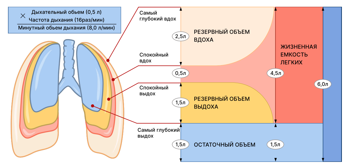 Иллюстрация к статье