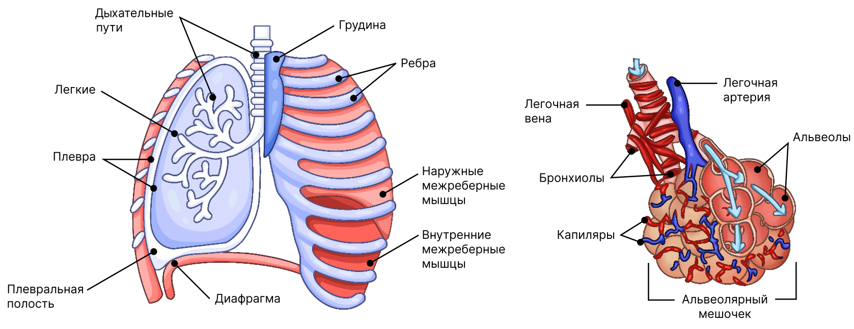 Иллюстрация к статье