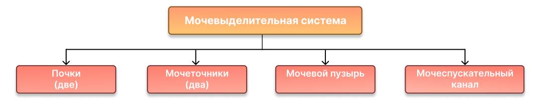Иллюстрация к статье