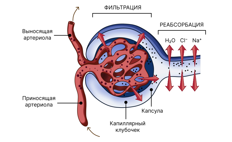 Иллюстрация к статье