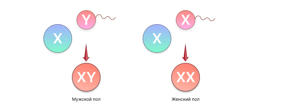 Иллюстрация к статье