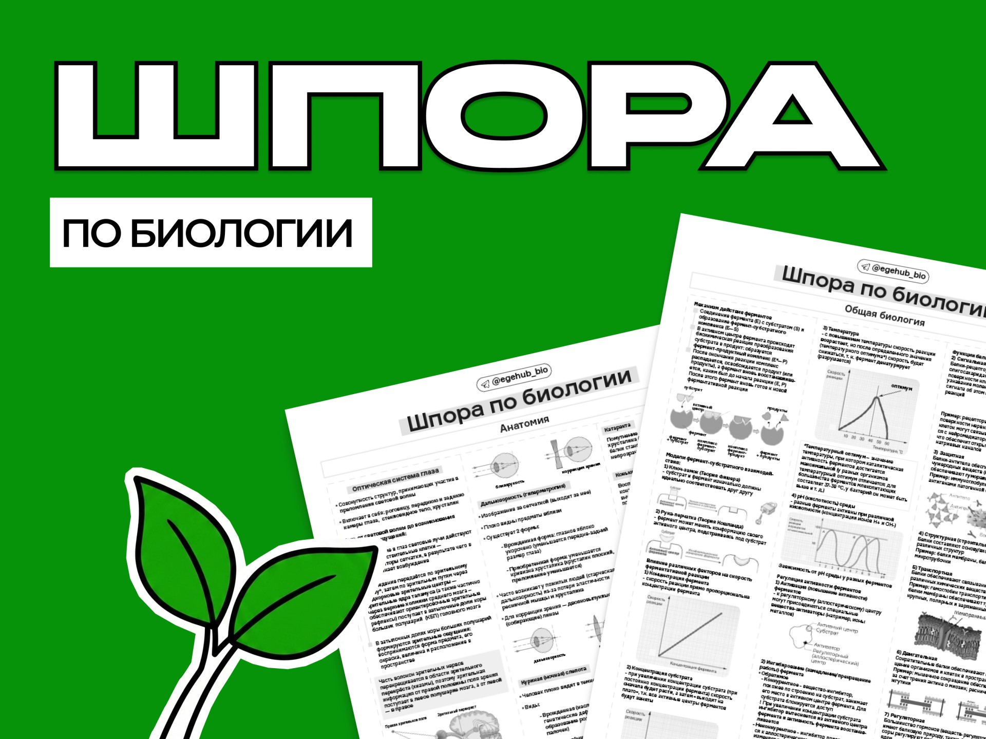 Шпора по биологии ЕГЭ
