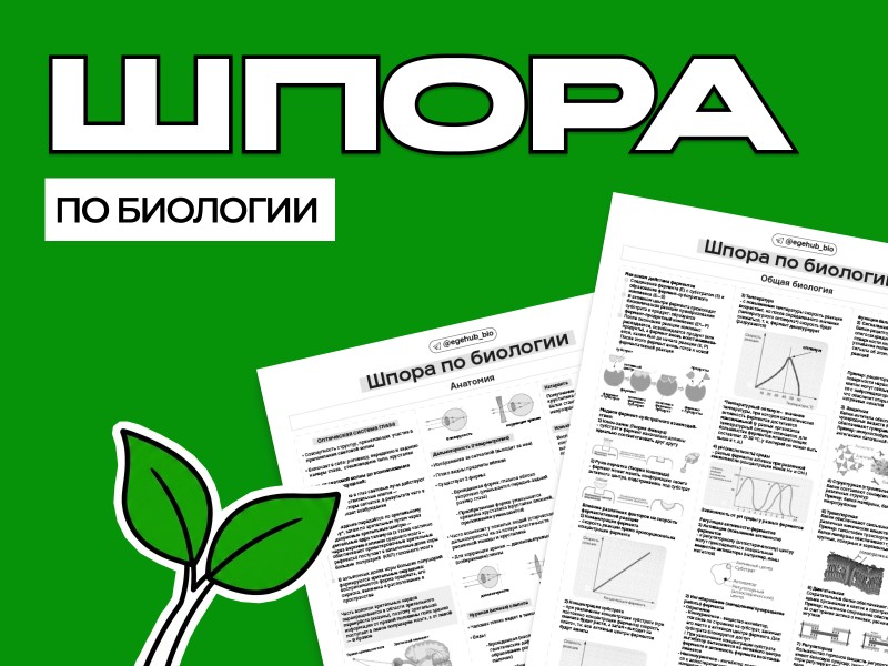 Курс