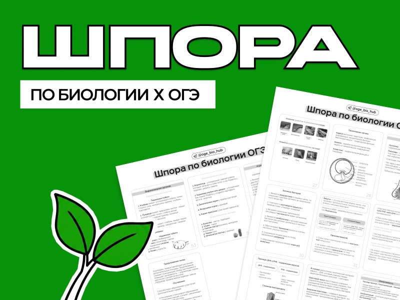 Курс
