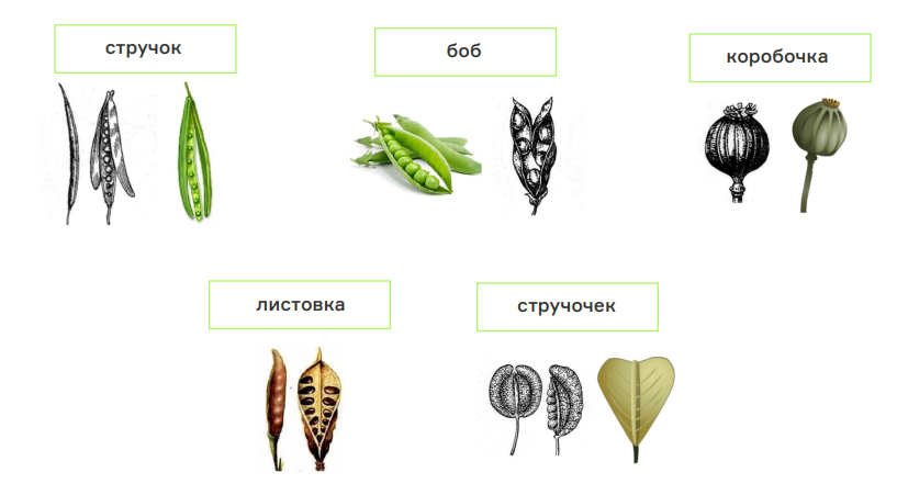 Иллюстрация к статье