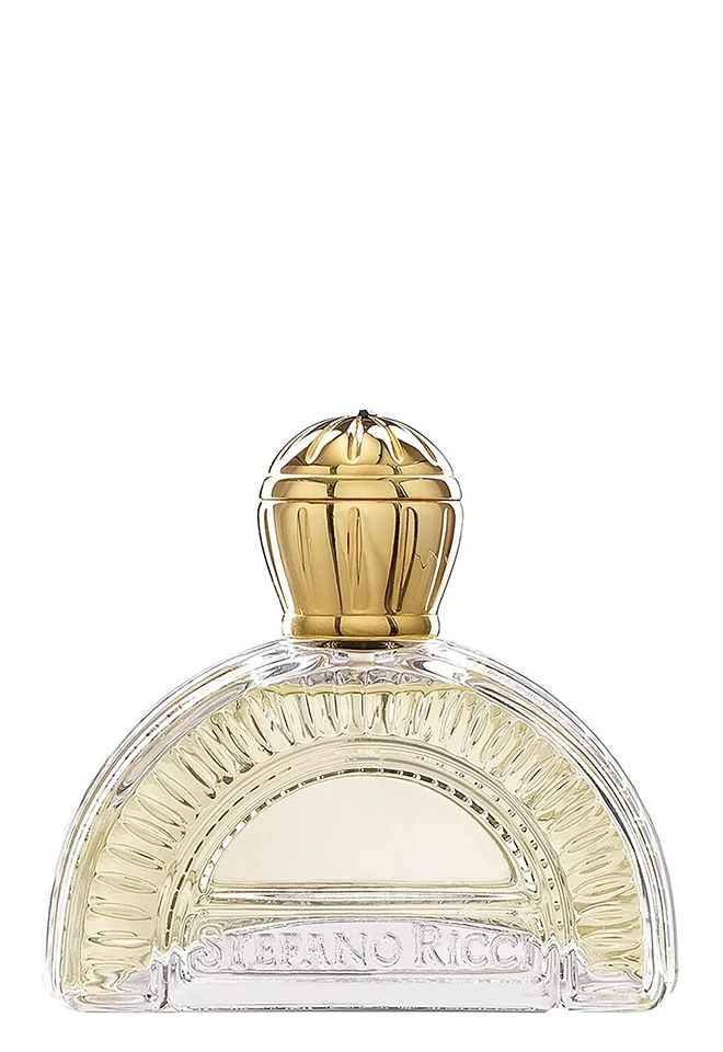 

Classic STEFANO RICCI, Белый, Белый