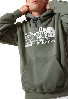 Зеленая толстовка с логотипом THE NORTH FACE