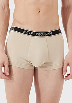 Трусы EMPORIO ARMANI Underwear