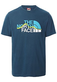 Синяя футболка с принтом THE NORTH FACE