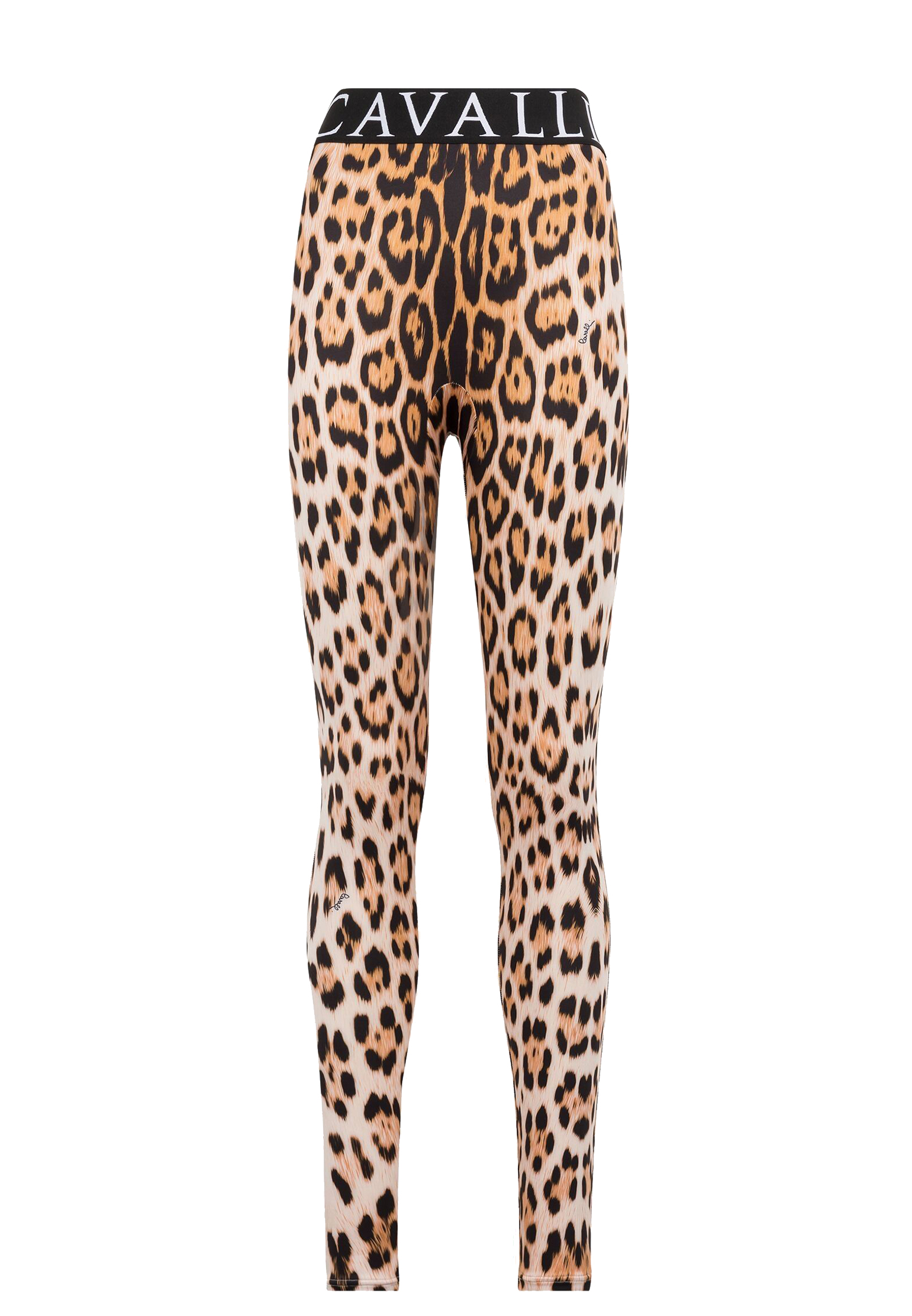 Легинсы ROBERTO CAVALLI 15080₽