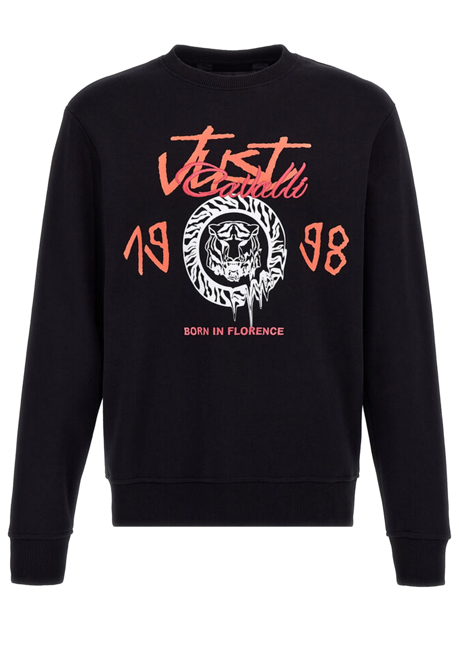 Свитшот JUST CAVALLI 43900₽