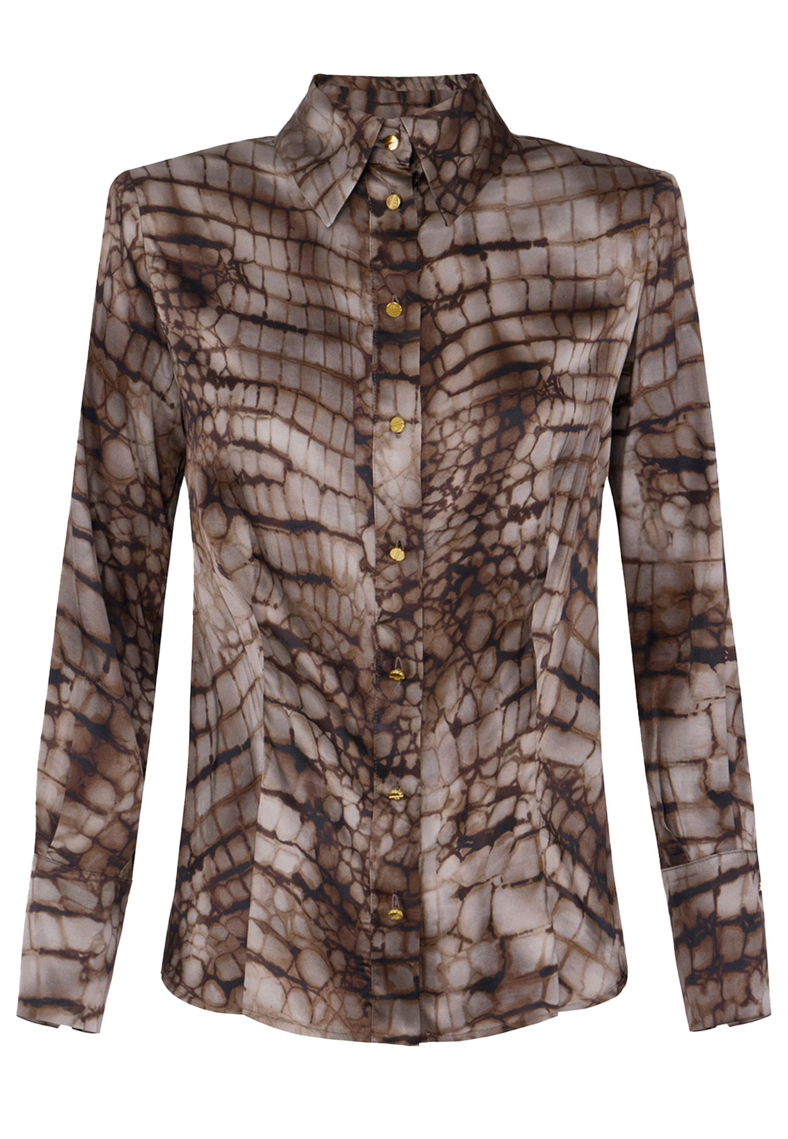 Рубашка ELISABETTA FRANCHI 54500₽