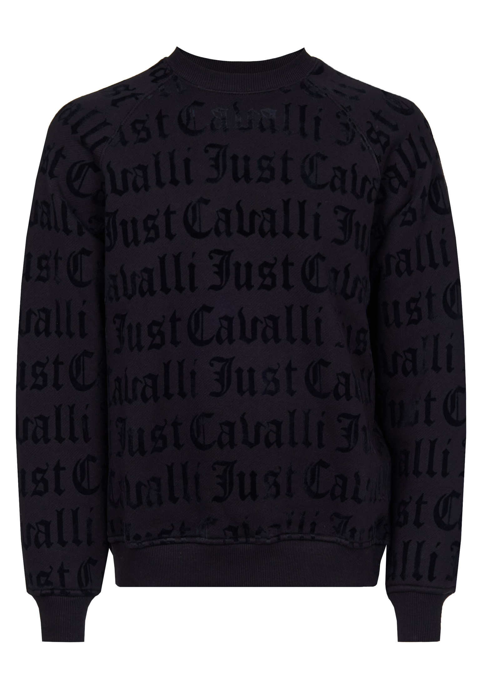 Свитшот JUST CAVALLI 46900₽