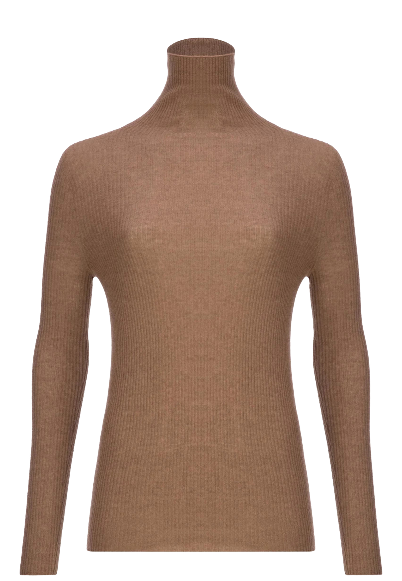 Водолазка FABIANA FILIPPI 15715₽